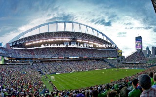 米兰体育官方网站-匈牙利队表现抢眼，成功晋级八强